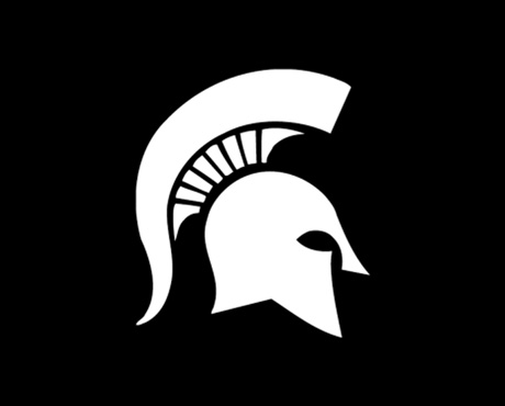 MSU helmet