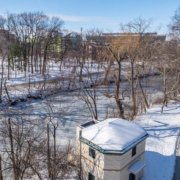 winter scene on MSU campus