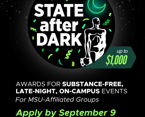 State After Dark FS26